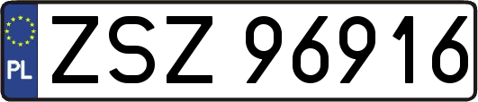 ZSZ96916