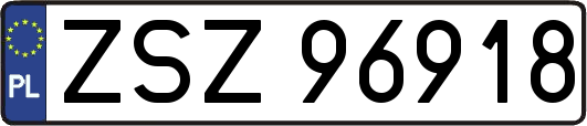 ZSZ96918