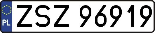 ZSZ96919