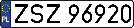 ZSZ96920