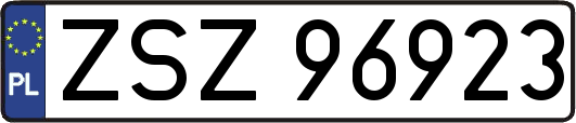 ZSZ96923
