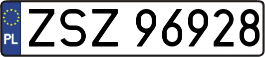 ZSZ96928