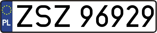 ZSZ96929