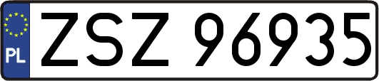 ZSZ96935