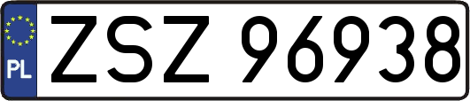 ZSZ96938