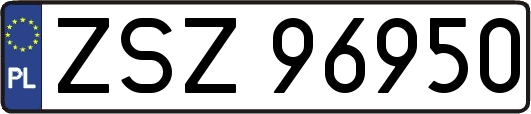 ZSZ96950