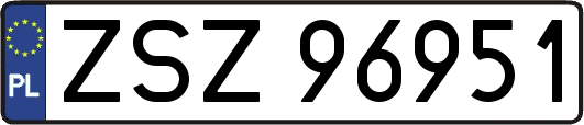 ZSZ96951