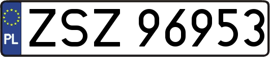 ZSZ96953