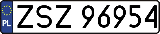 ZSZ96954
