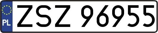 ZSZ96955