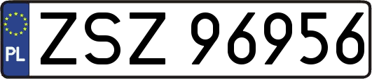 ZSZ96956
