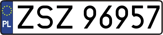 ZSZ96957