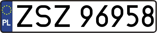 ZSZ96958