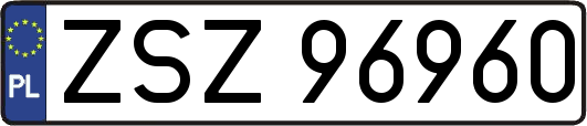 ZSZ96960
