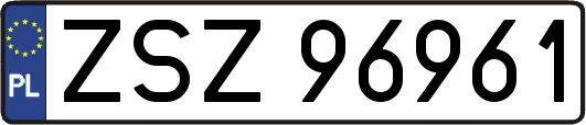 ZSZ96961