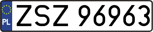 ZSZ96963