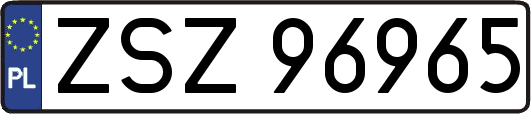 ZSZ96965