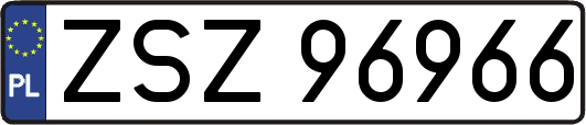 ZSZ96966