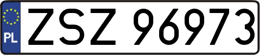 ZSZ96973
