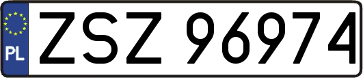 ZSZ96974