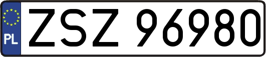 ZSZ96980