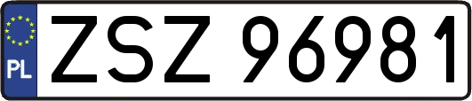 ZSZ96981
