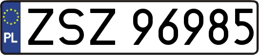 ZSZ96985
