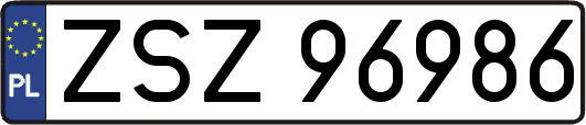 ZSZ96986