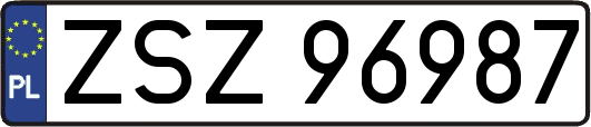 ZSZ96987