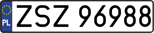 ZSZ96988