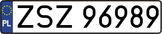 ZSZ96989