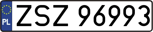 ZSZ96993