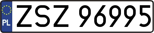 ZSZ96995