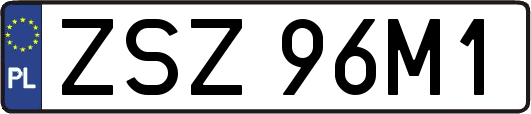 ZSZ96M1