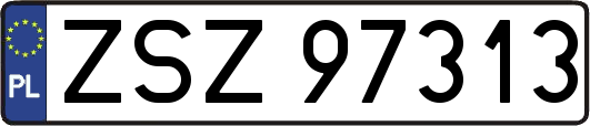 ZSZ97313