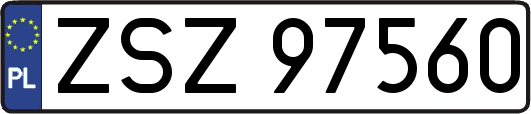 ZSZ97560