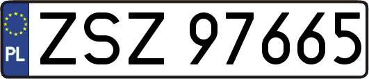 ZSZ97665