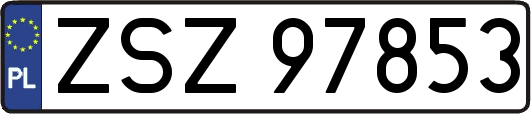 ZSZ97853