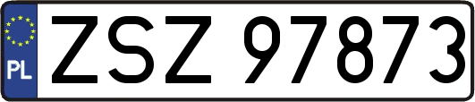 ZSZ97873