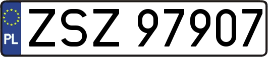 ZSZ97907
