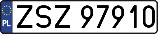 ZSZ97910
