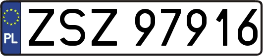 ZSZ97916