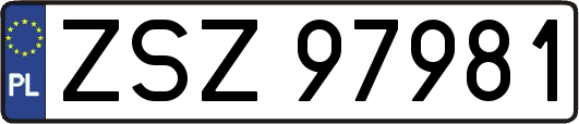 ZSZ97981