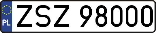 ZSZ98000