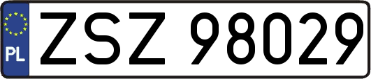 ZSZ98029