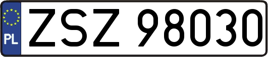 ZSZ98030
