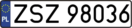 ZSZ98036