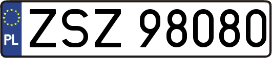 ZSZ98080