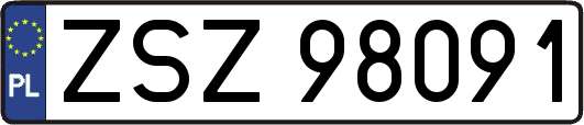 ZSZ98091