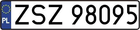 ZSZ98095